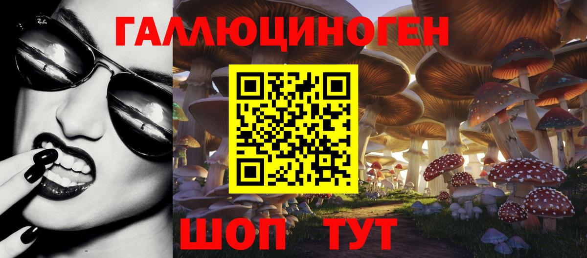 цены наркотик  Вход с VPN  Славгород  Псилоцибиновые грибы прущие грибы  Галлюциногенные грибы Psilocybine cubensis 