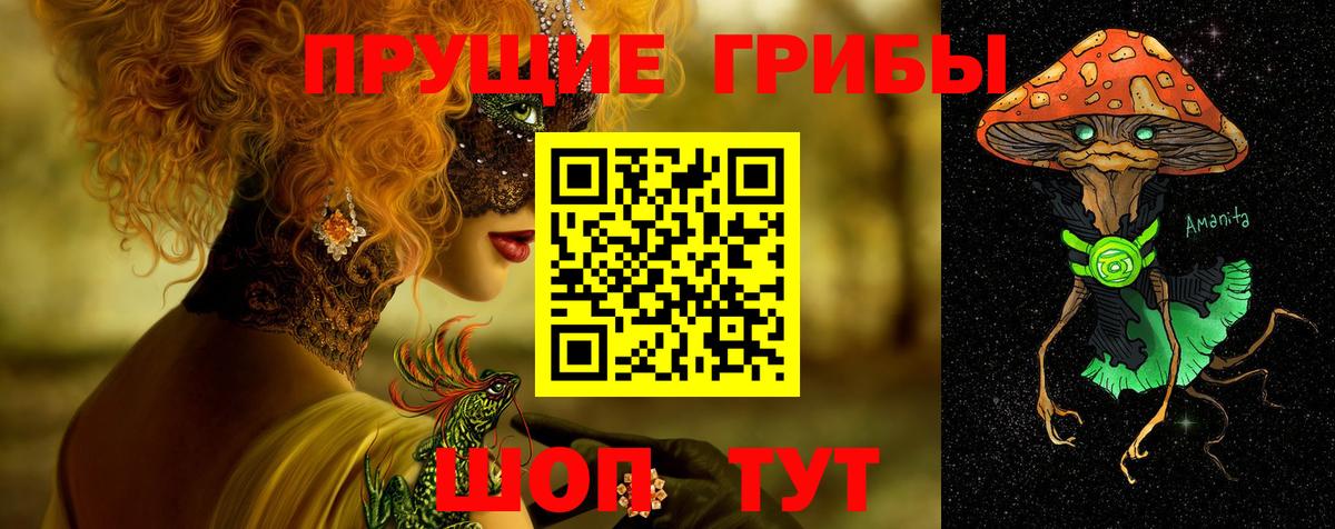 Галлюциногенные грибы Psilocybe Славгород